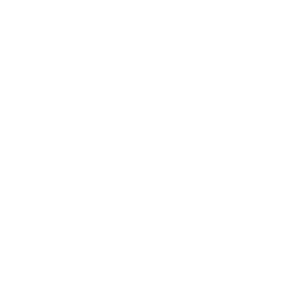 MAX icon